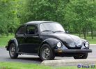 74bug122.jpg