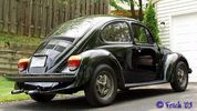 74bug155.jpg