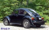 74bug481.jpg