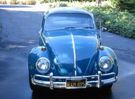 My Blue 1966.jpg